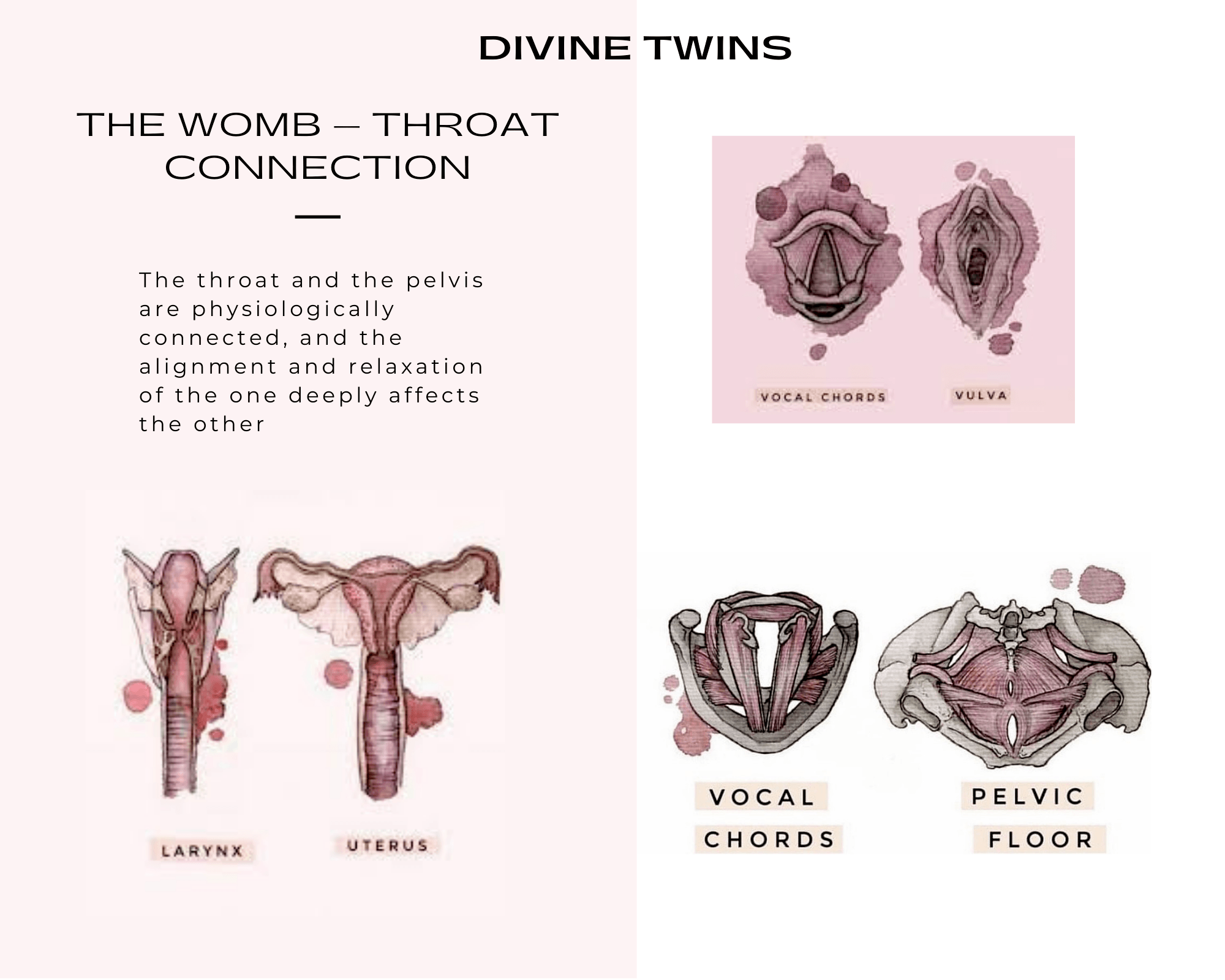 the-womb-heart-throat-connection